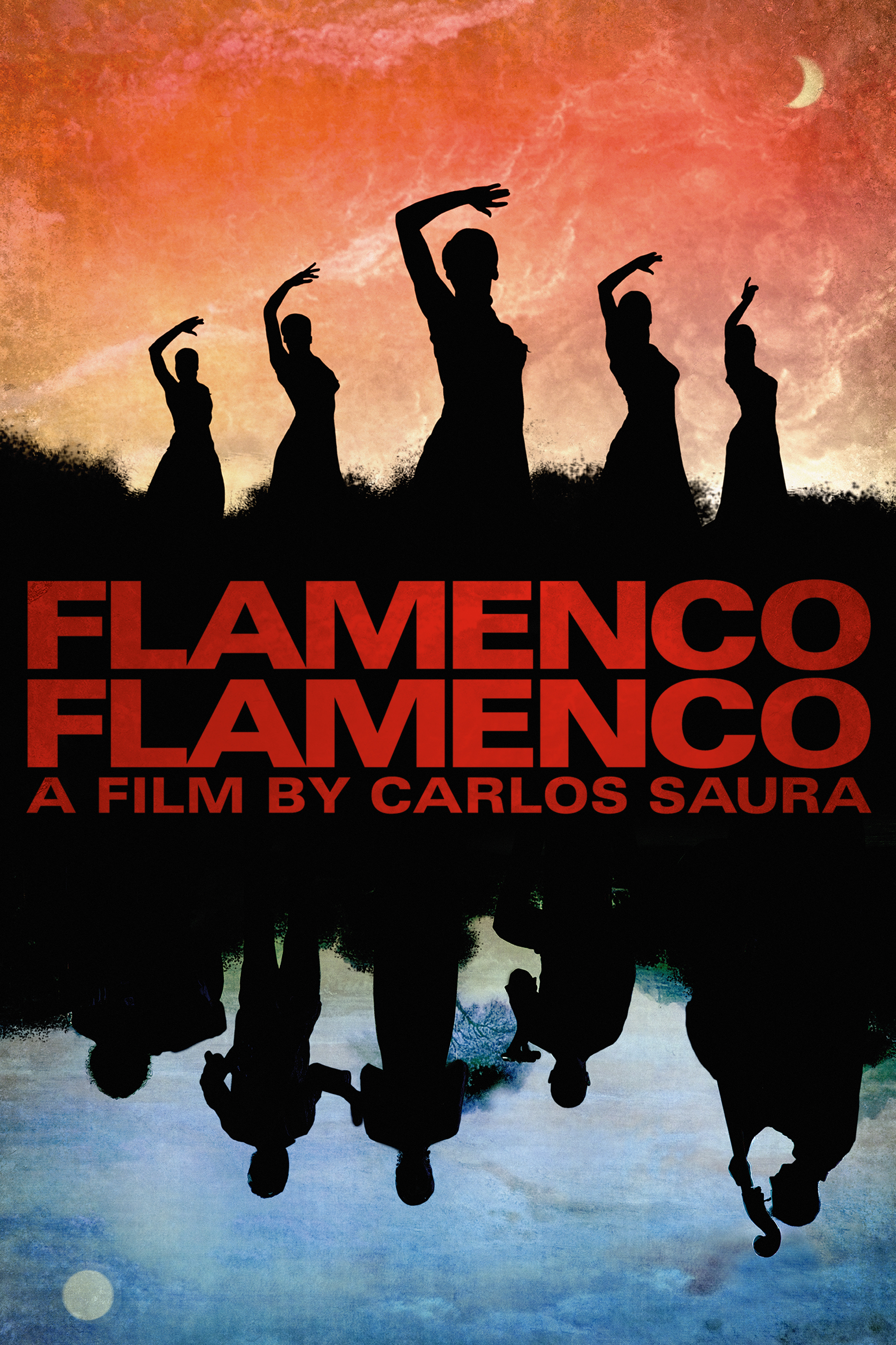 Flamenco, Flamenco