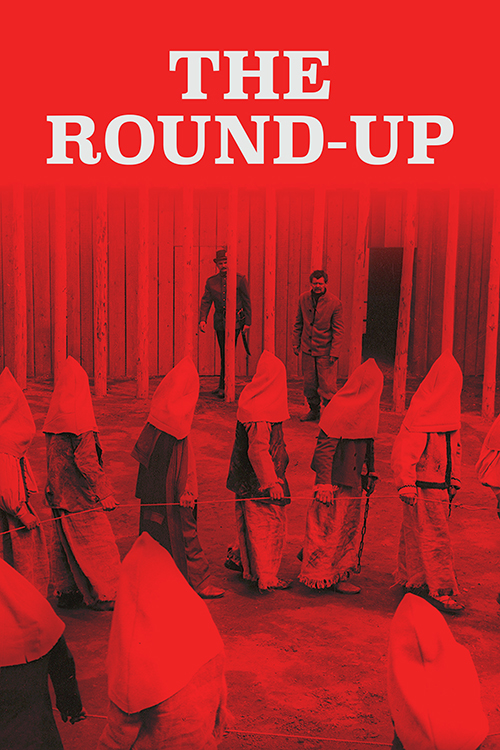 The Round-Up