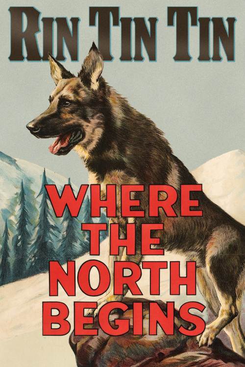 Where the North Begins