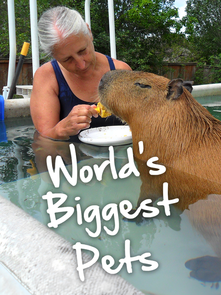 The World's Biggest Pets